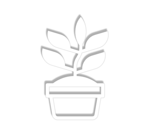 Plant in the pot icon