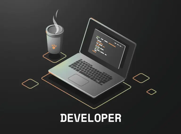 The Developer